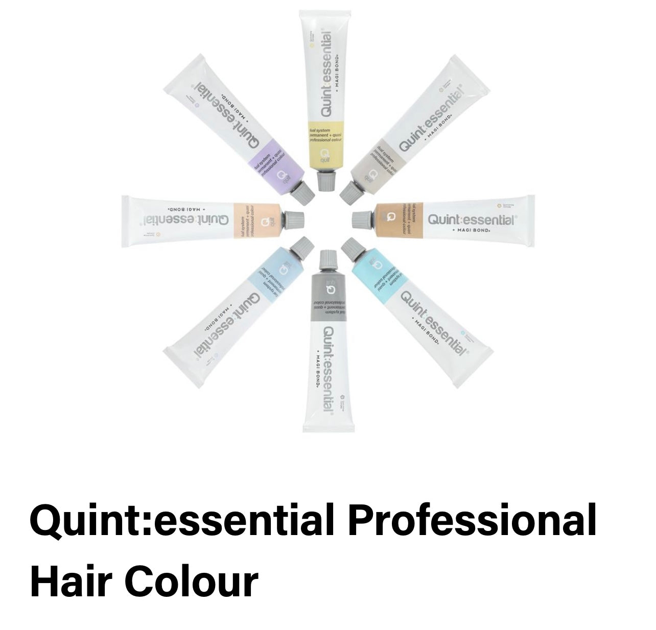 Quintessential Toning Collection - Creative